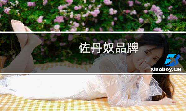 佐丹奴品牌