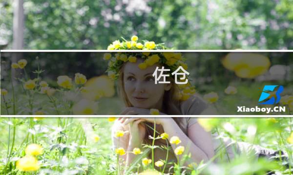 佐仓 攻略