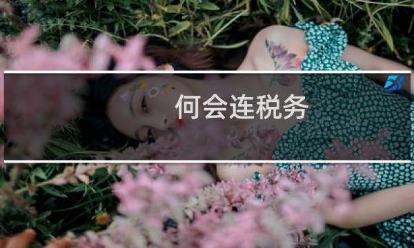 何会连税务