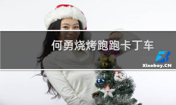 何勇烧烤跑跑卡丁车