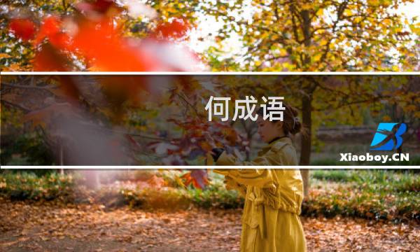 何成语
