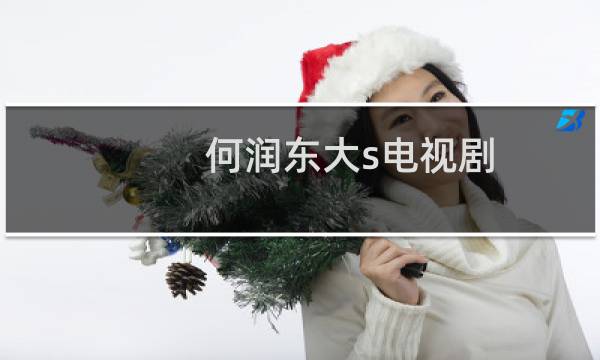 何润东大s电视剧