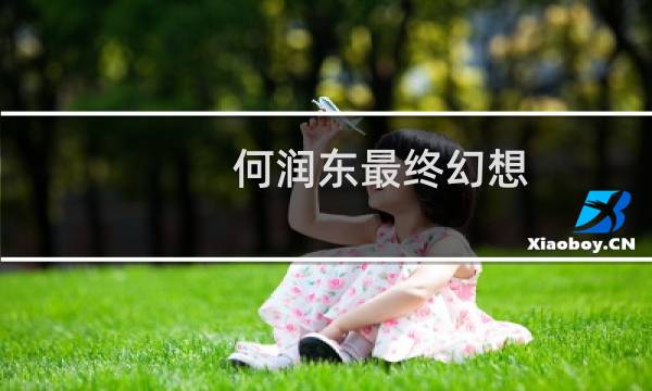何润东最终幻想