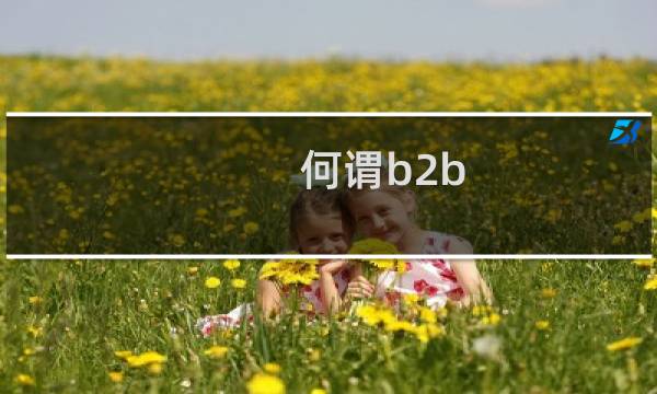何谓b2b b2c