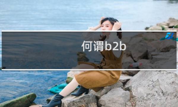 何谓b2b