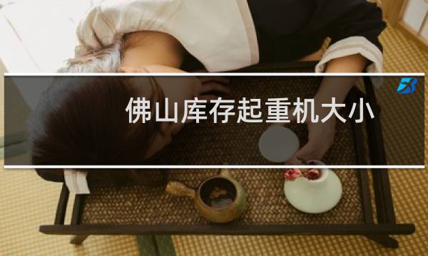 佛山库存起重机大小