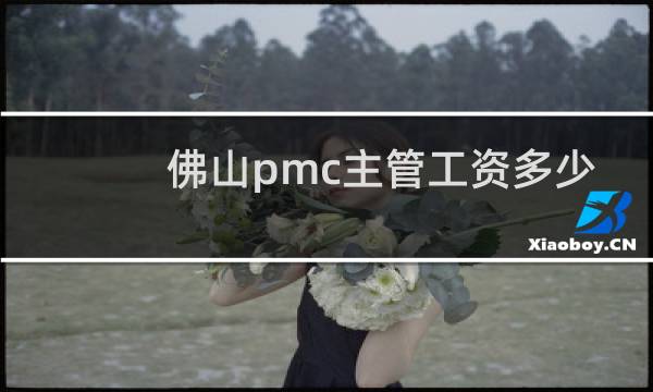 佛山pmc主管工资多少