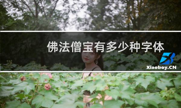 佛法僧宝有多少种字体