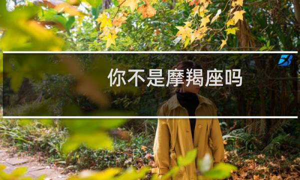 你不是摩羯座吗