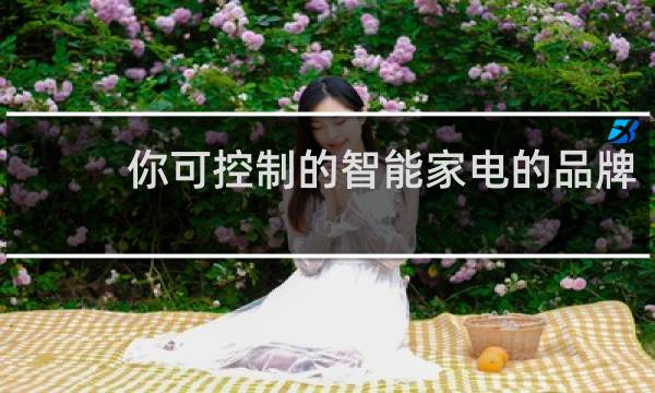 你可控制的智能家电的品牌
