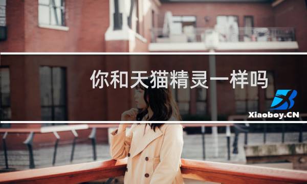 你和天猫精灵一样吗