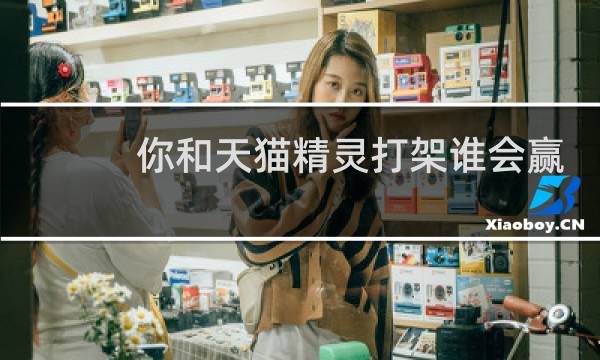 你和天猫精灵打架谁会赢