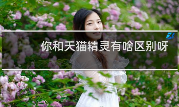 你和天猫精灵有啥区别呀