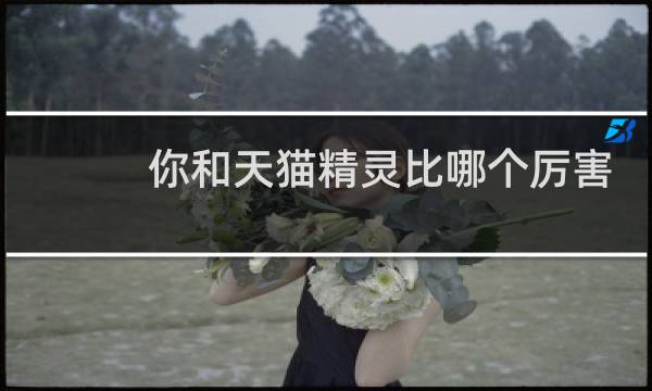 你和天猫精灵比哪个厉害