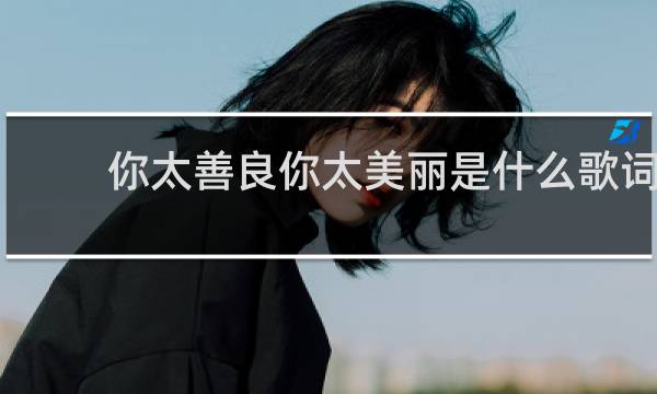 你太善良你太美丽是什么歌词