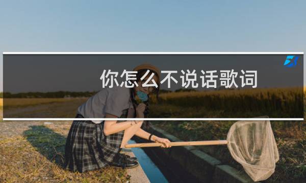 你怎么不说话歌词