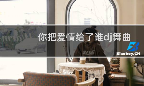 你把爱情给了谁dj舞曲