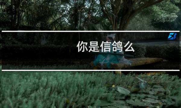 你是信鸽么