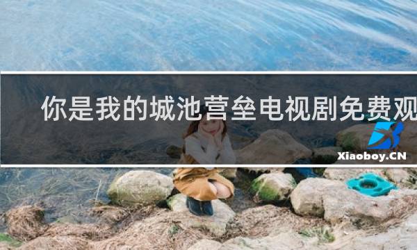 你是我的城池营垒电视剧免费观看