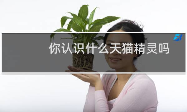 你认识什么天猫精灵吗