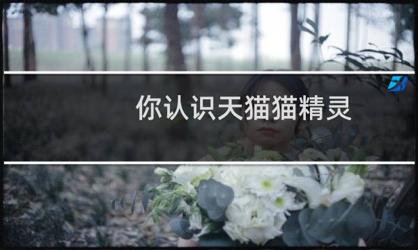 你认识天猫猫精灵
