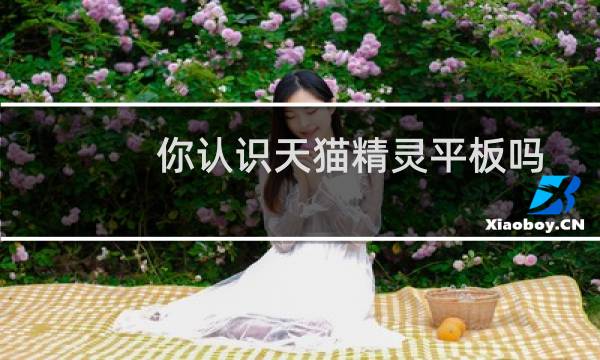 你认识天猫精灵平板吗