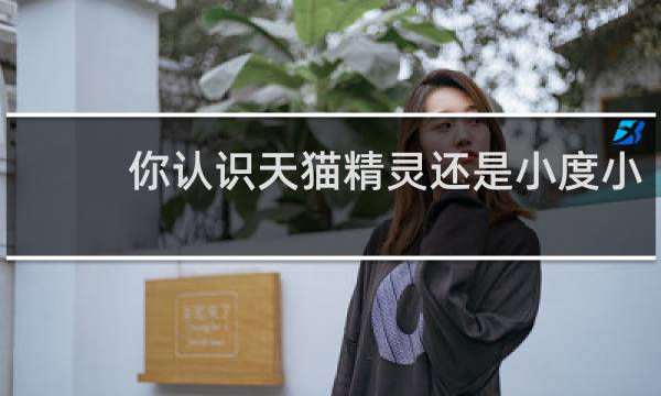 你認識天貓精靈還是小度小