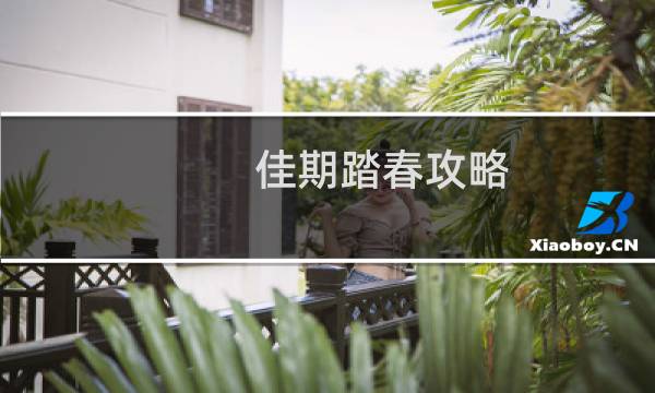 佳期踏春攻略