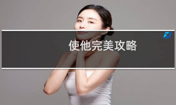 使他完美攻略