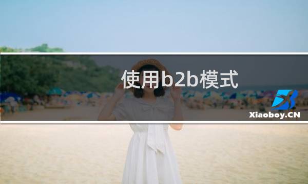 使用b2b模式