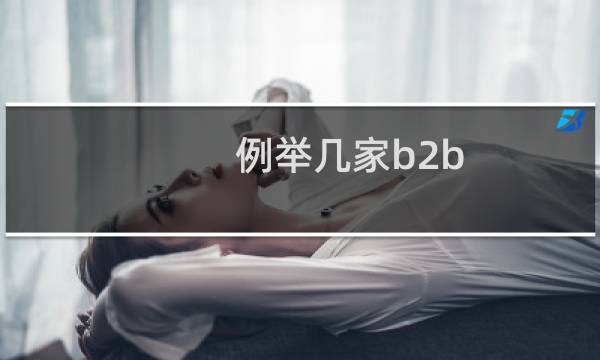 例举几家b2b
