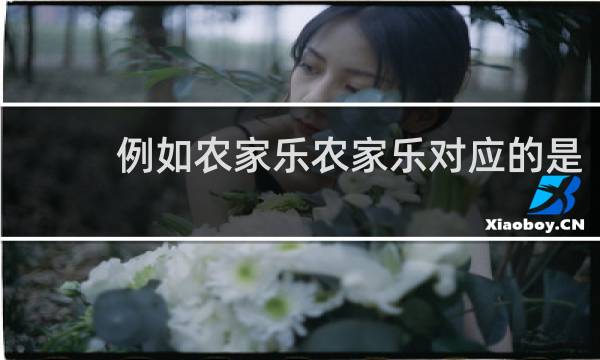 例如农家乐农家乐对应的是