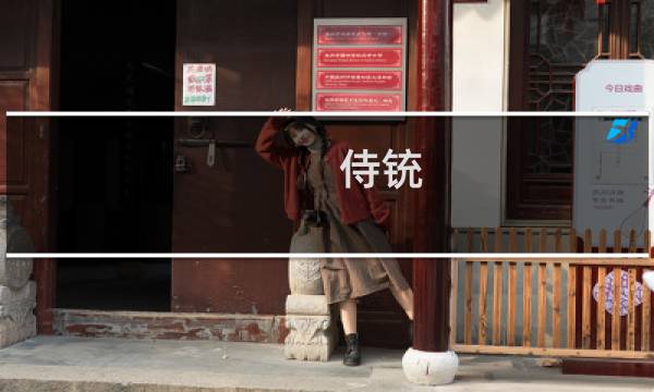 侍铳 关攻略