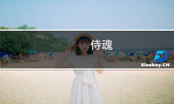 侍魂 咒师攻略