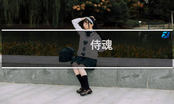 侍魂 无尽攻略