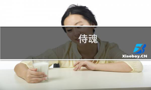 侍魂 零 攻略