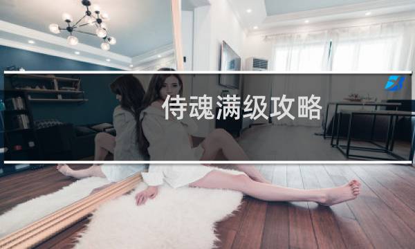 侍魂满级攻略