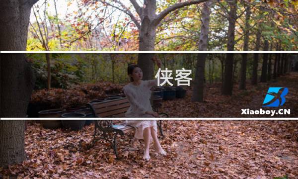 侠客 方舟生存进化02