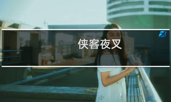 侠客夜叉 攻略