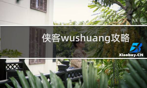 侠客wushuang攻略