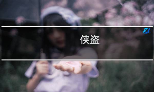 侠盗 攻略