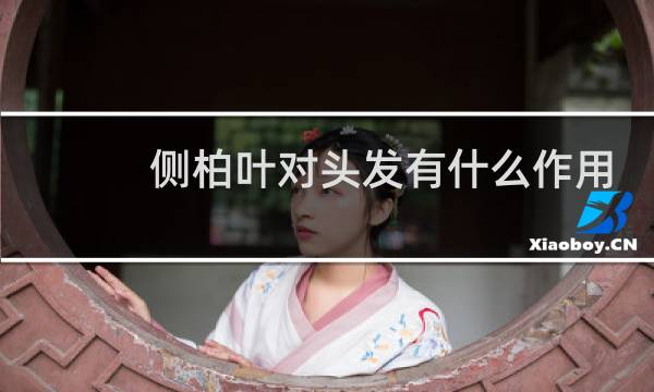 侧柏叶对头发有什么作用