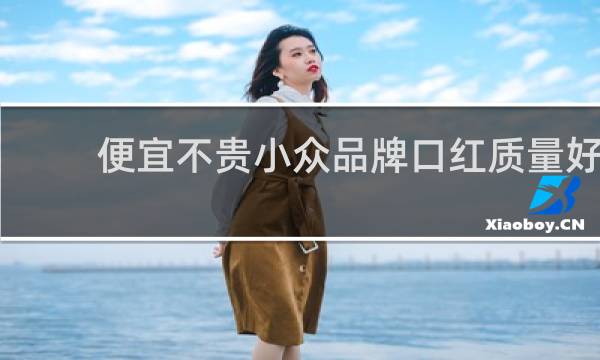 便宜不贵小众品牌口红质量好