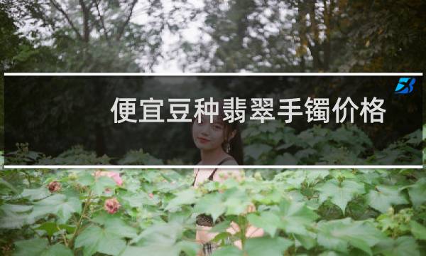 便宜豆种翡翠手镯价格