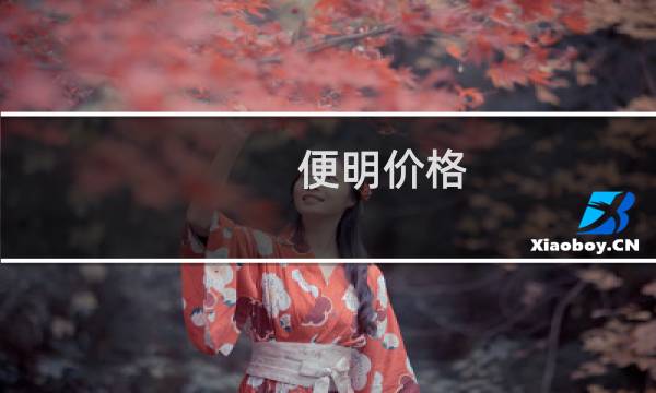 便明价格