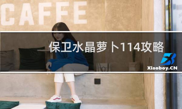 保卫水晶萝卜114攻略