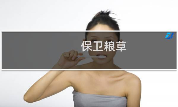保卫粮草 攻略