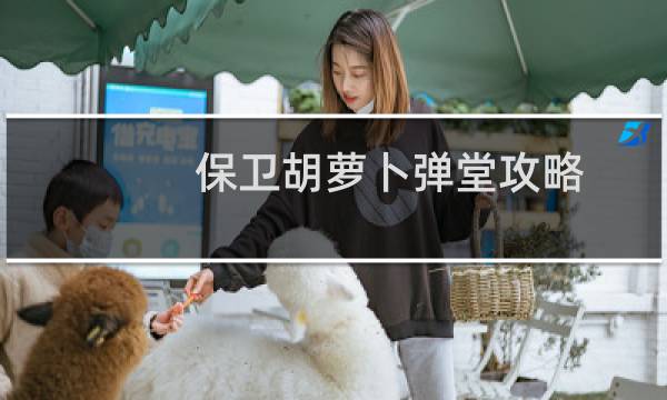保卫胡萝卜弹堂攻略