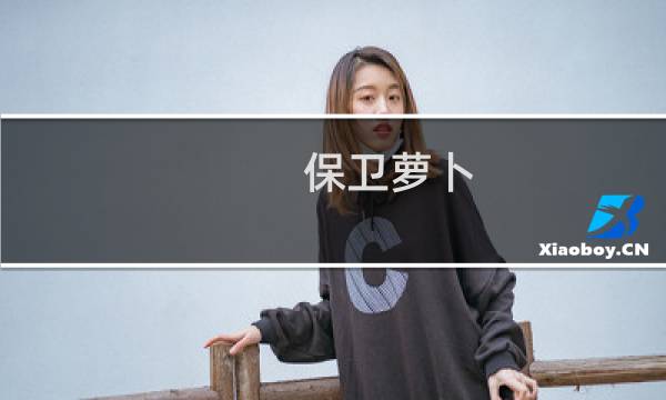 保卫萝卜 团队介绍视频