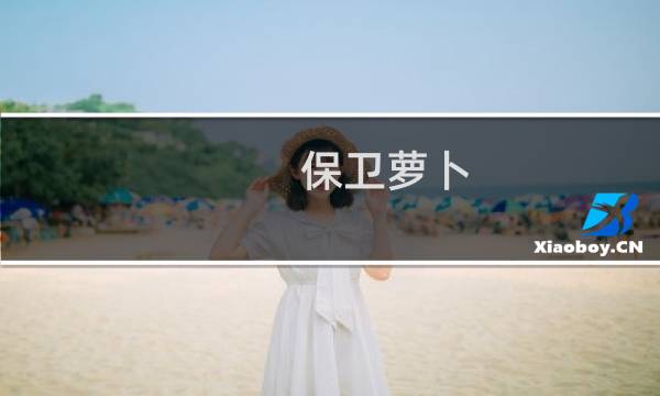 保卫萝卜 攻略 13